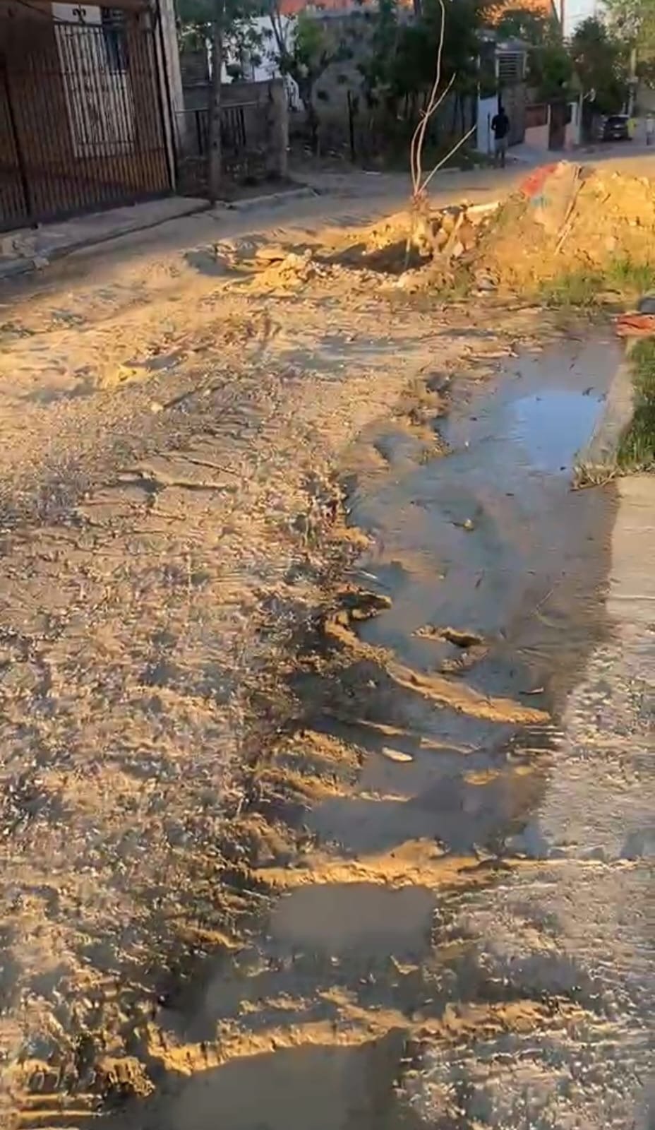 Residentes del Residencial Dorado III claman intervención urgente ante colapso cloacal, deterioro de calles y deficiente recogida de basura.