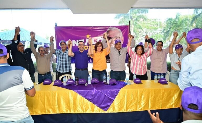 Proyecto presidencial de Gonzalo Castillo realizó masivos encuentros durante este fin de semana
