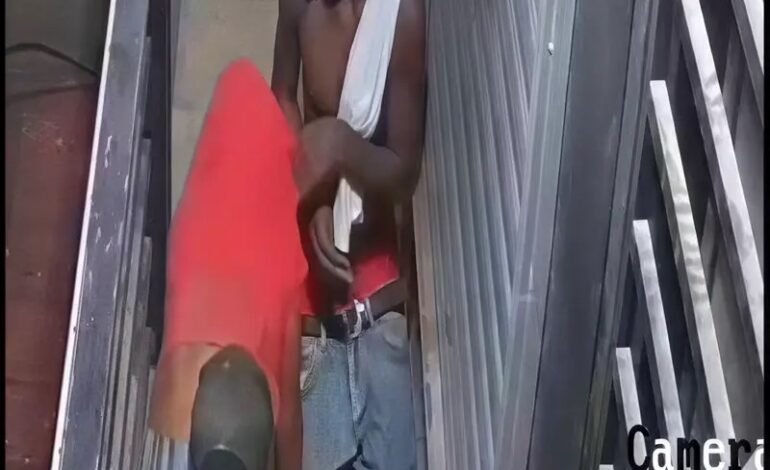 Cámaras captan robo&nbsp;&nbsp;en estudio fotográfico de Villa Mella