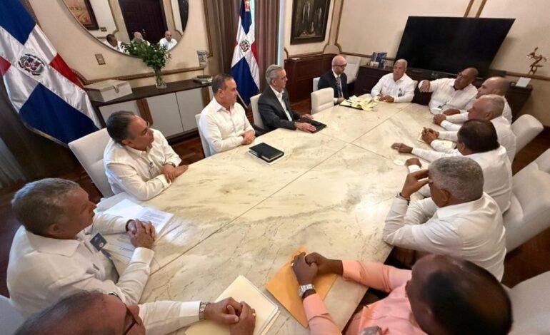 Abinader acuerda con sector arrocero medidas para fortalecer la producción y seguridad alimentaria