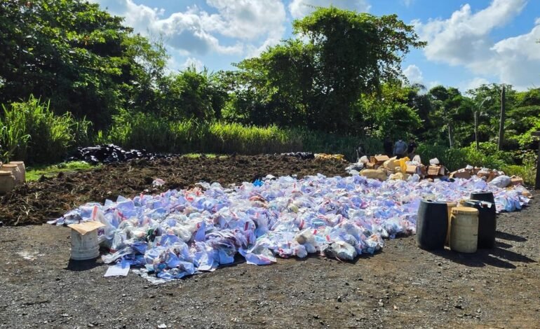 Inacif destruye más de 3,700 kilos de drogas incautadas en operativos contra el narcotráfico