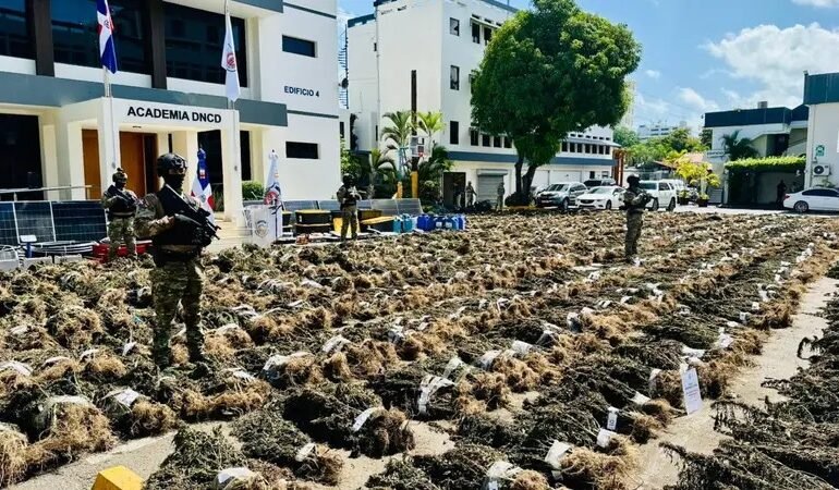 DNCD desmantela histórica siembra de más de 15 mil plantas de marihuana en San José de Ocoa