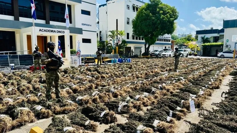 DNCD desmantela histórica siembra de más de 15 mil plantas de marihuana en San José de Ocoa