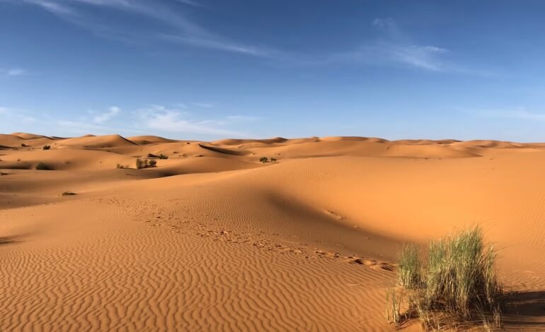 Complicaciones de salud por el polvo del sahara: una amenaza silenciosa para la salud respiratoria