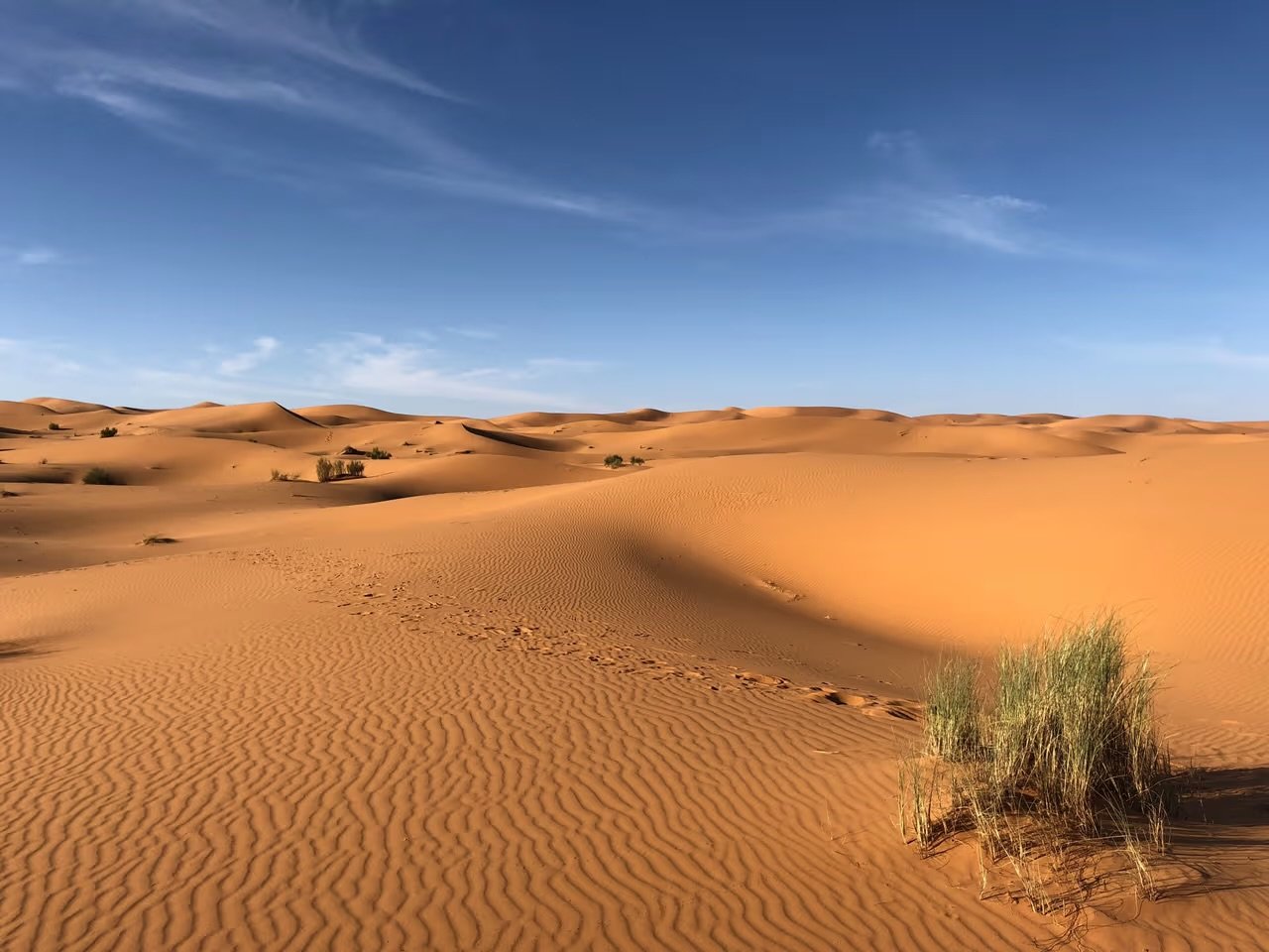 Complicaciones de salud por el polvo del sahara: una amenaza silenciosa para la salud respiratoria