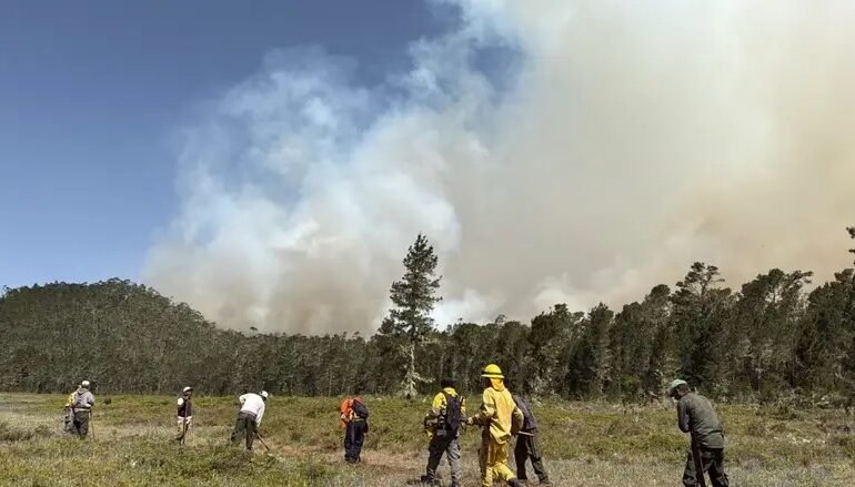Incendio en Sierra de Bahoruco se mantiene con un solo frente activo bajo condiciones adversas