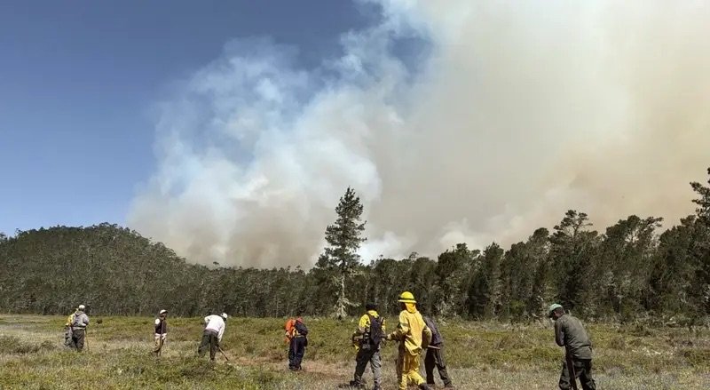 Incendio en Sierra de Bahoruco se mantiene con un solo frente activo bajo condiciones adversas