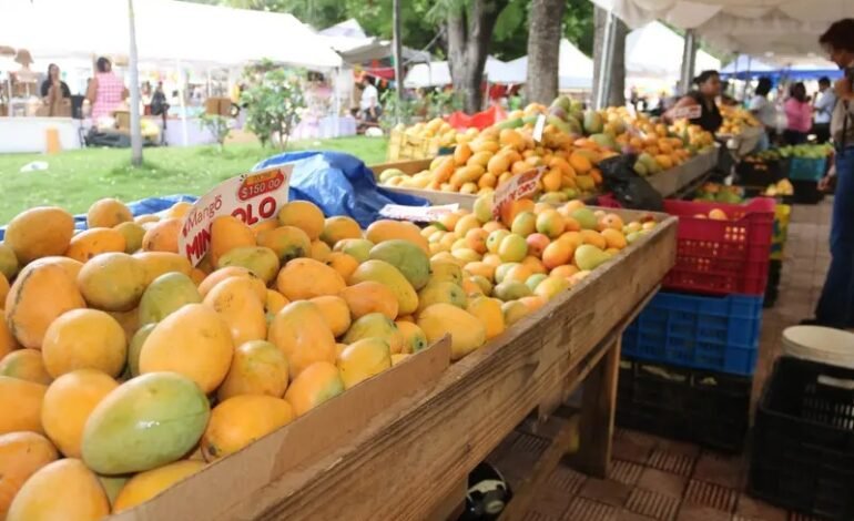 Inicia en Baní la tradicional feria del mango