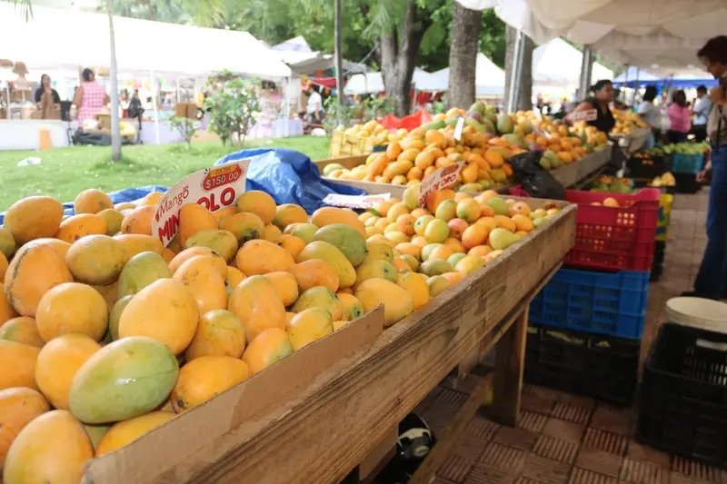 Inicia en Baní la tradicional feria del mango