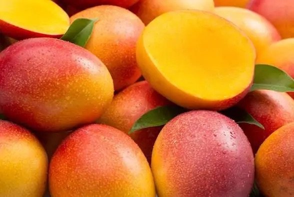Cierra con éxito la Feria del Mango con alta asistencia y dinamismo comercial
