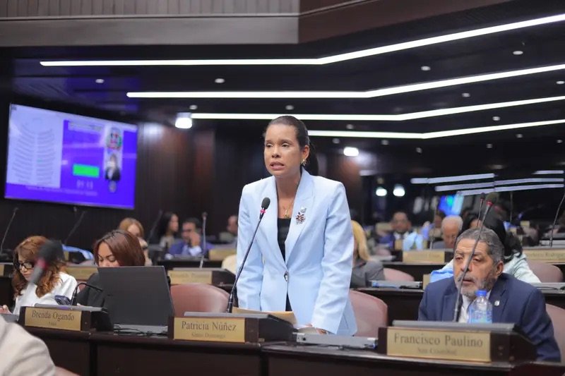 La diputada Patricia Núñez somete proyecto de ley que busca regular la venta y control de cigarrillos electrónicos