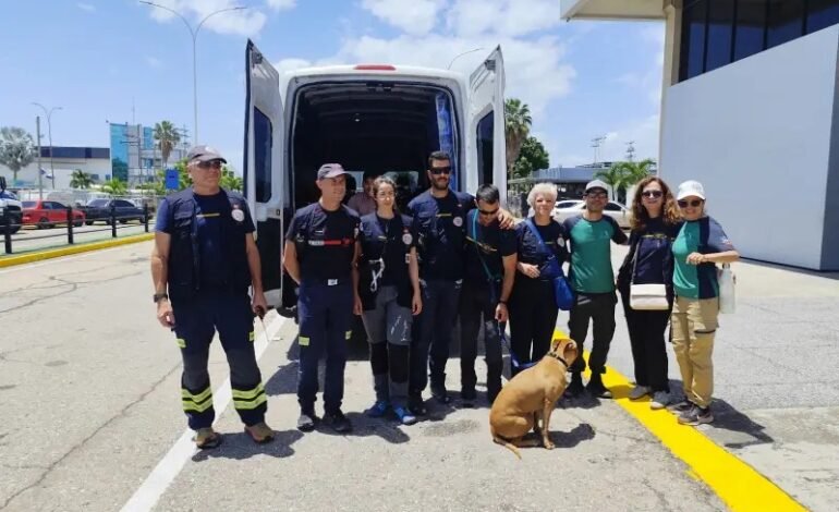 Nueva Acrópolis Dominicana se suma a ayuda humanitaria para Venezuela