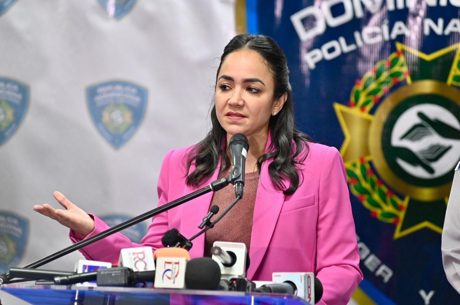 Es imperdonable»: Faride Raful condena abuso policial que cobró la vida de un joven en SDO