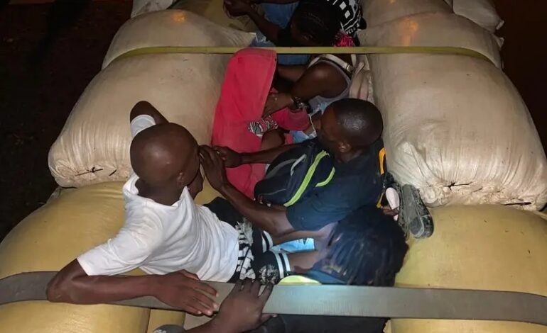 Ejército dominicano detiene camión con 10 haitianos ocultos en una carga de arroz