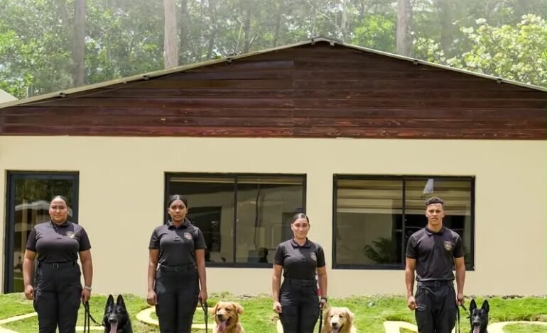 DNCD resalta labor de unidades caninas en la lucha contra el narcotráfico