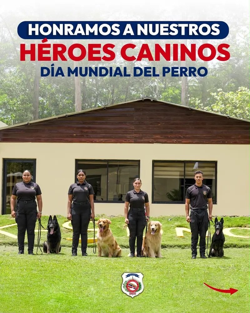 DNCD resalta labor de unidades caninas en la lucha contra el narcotráfico