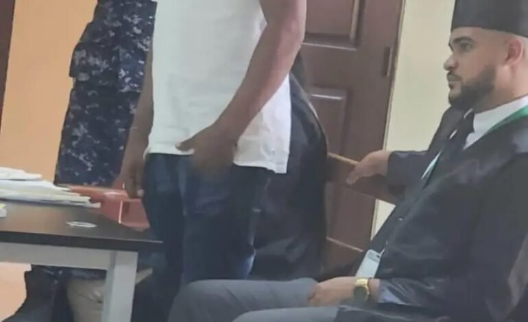 Tribunal de Ocoa manda a la cárcel por seis meses a un joven acusado de robarse 32 aguacates