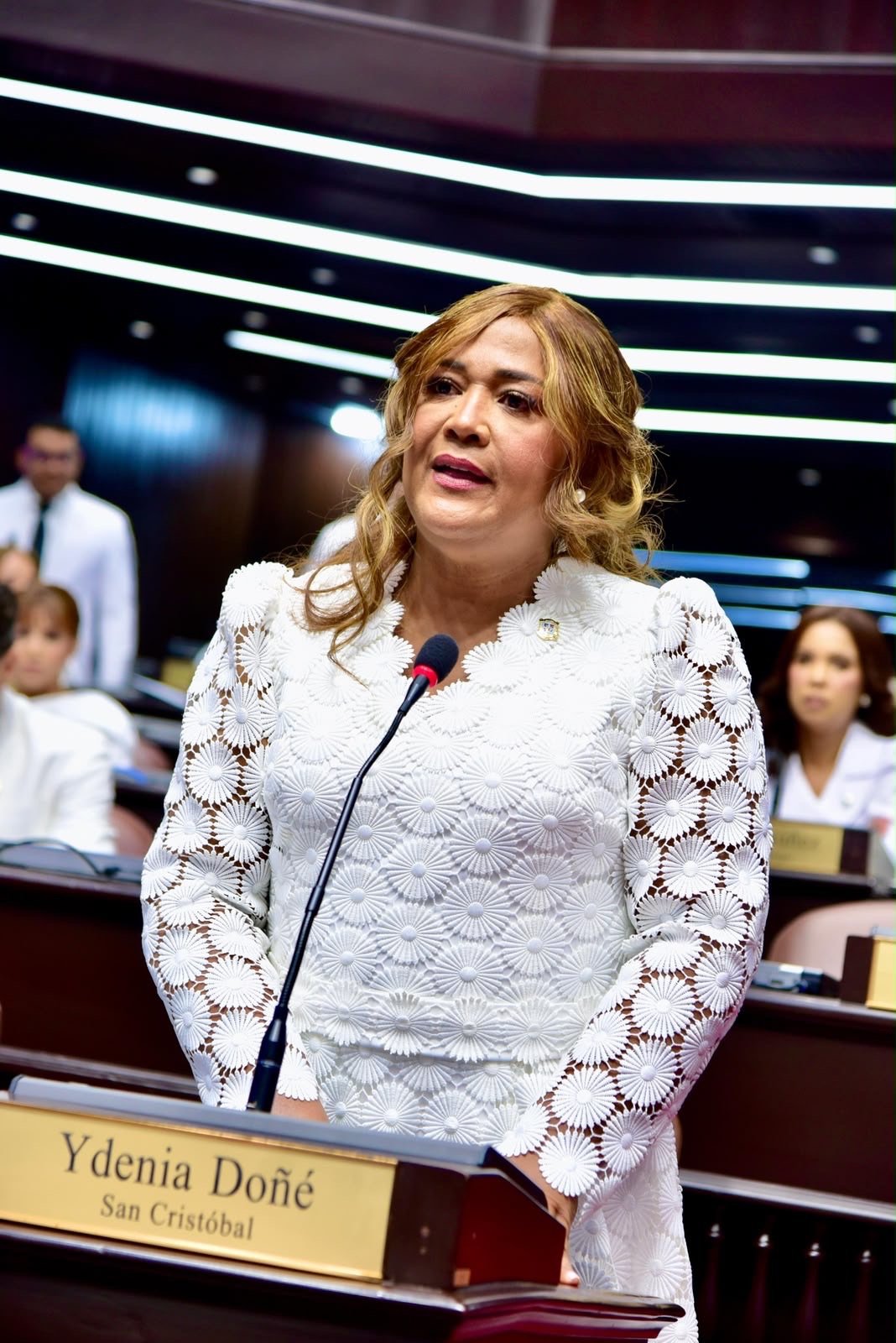 Ydenia Doné asegura hay que pasar de las palabras a los hechos con la ley de Seguridad Social.