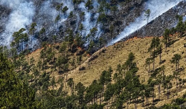 Incendio en Valle Nuevo queda bajo control y brigadas trabajan para evitar reactivación&nbsp;