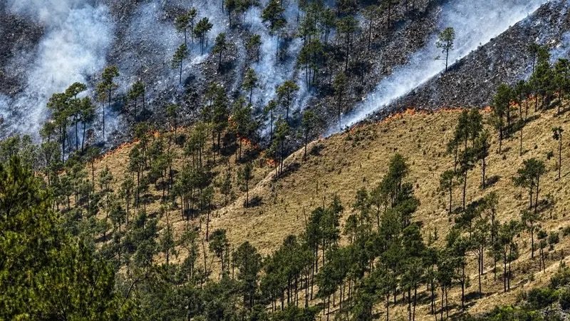 Incendio en Valle Nuevo queda bajo control y brigadas trabajan para evitar reactivación&nbsp;
