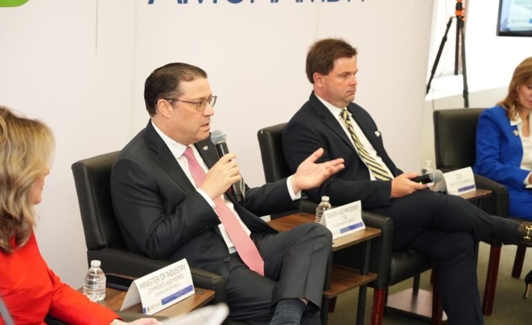 Yayo Sanz Lovatón destaca ante la OEA en Washington el potencial de la IA para las mipymes
