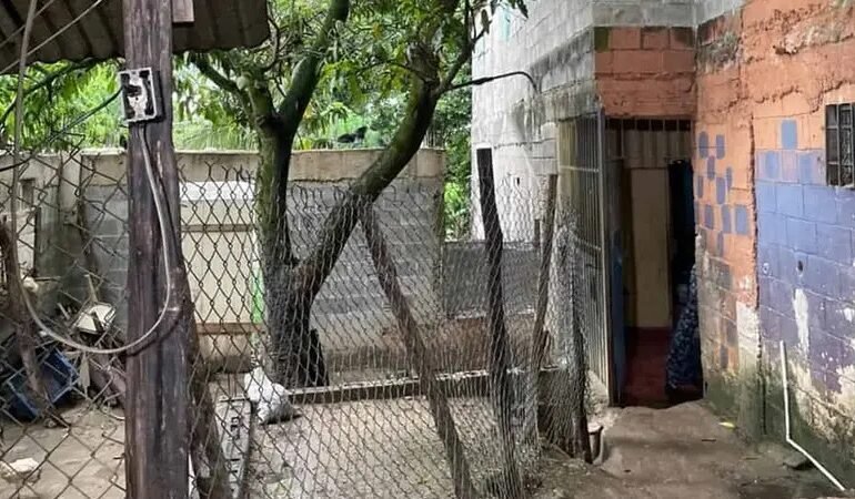 Así es la «fundación» donde rescataron 13 menores de edad en La Pared de Haina