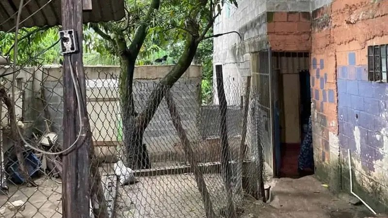 Así es la «fundación» donde rescataron 13 menores de edad en La Pared de Haina