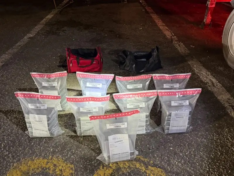 DNCD ocupa 42 paquetes de presunta cocaína en Puerto Caucedo y arresta a un hombre