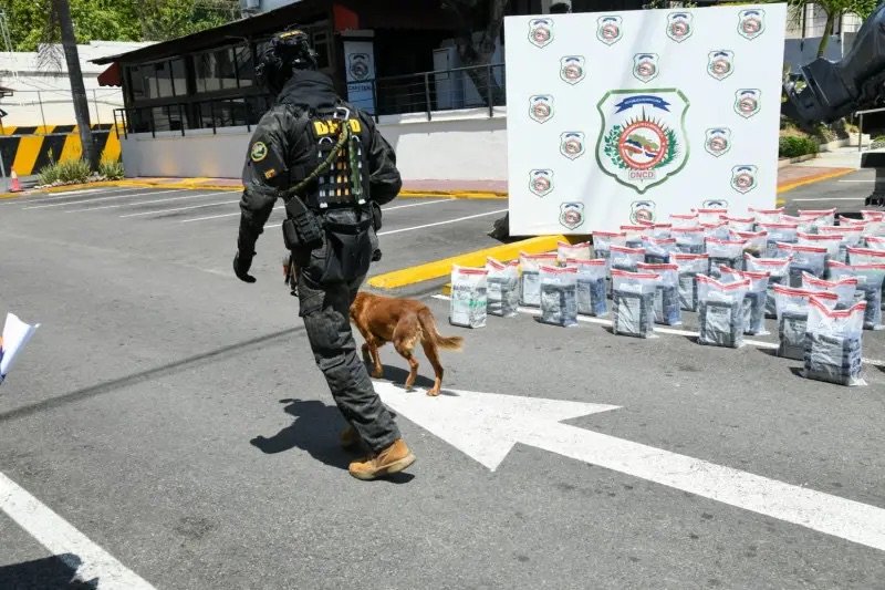 Santiago: retiran más de 15,000 gramos de drogas y detienen a 59 personas